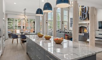 87 Thunderbowl Ln, Aspen, CO 81611