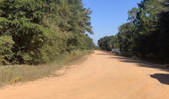 Larry Street, Alford, FL 32420