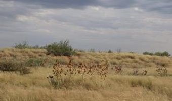 3040 NW 161, Andrews, TX 79714