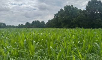 37928 Buck Run Rd, Albany, OH 45710