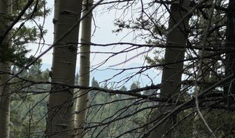 Lot 141 Back Basin Rd, Angel Fire, NM 87710