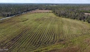 N Sr 71, Altha, FL 32421