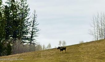 40 ACRES ROBINSON Ln, Bedford, WY 83112