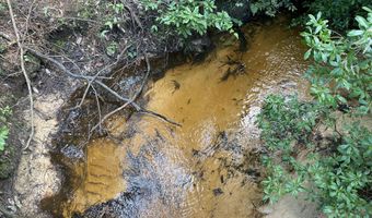 31 Acres Canyon Trl, Baker, FL 32531