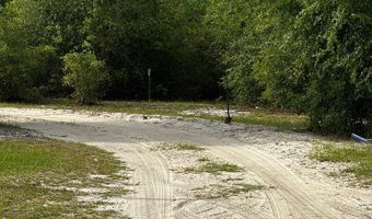 3100 NW 47th Pl, Bell, FL 32619