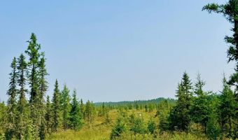 TBD Net River, Amasa, MI 49903