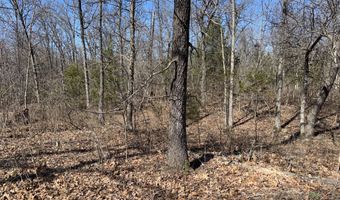 942 N Dade 131, Arcola, MO 65603