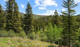 1239 Mclaughlin Ln, Basalt, CO 81621