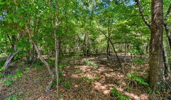 Boggs Road, Belton, SC 29627