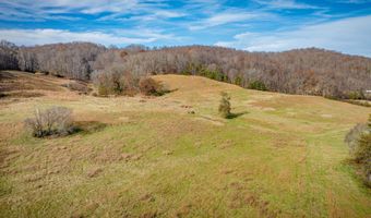 1520 Brittontown Rd, Afton, TN 37616