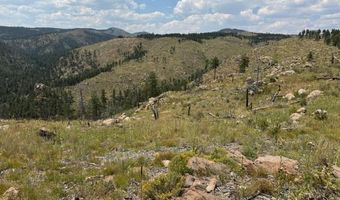 865 Redstone Dr, Bellvue, CO 80512