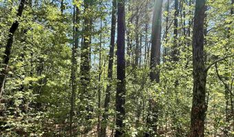 440 Mt. Carmel Rd, Abbeville, SC 29620