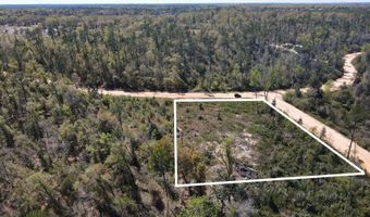 Powder Circle, Alford, FL 32420