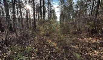 0 County Road 93, Bankston, AL 35554