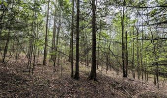 Stewart Road, Addison, NY 14801