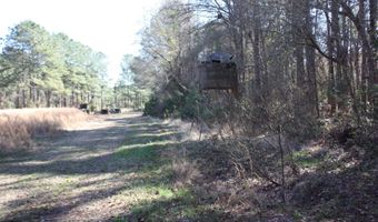 2650 Joe Miley Rd, Brunson, SC 29911