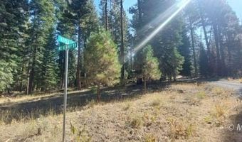 1 Acre McKenney Dr, Alturas, CA 96101