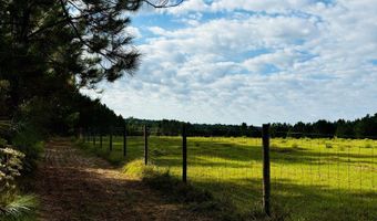 644 Ash-Harrel Loop, Abbeville, GA 31001