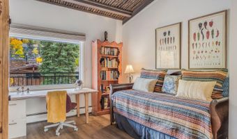 731 S Mill St 3A, Aspen, CO 81611