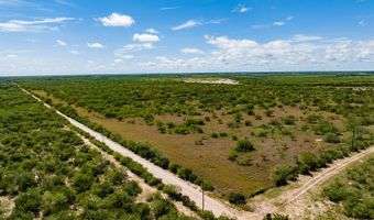 County Road 119, Alice, TX 78332