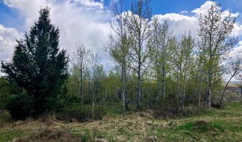 Tbd Aspen Heights Drive, Ashton, ID 83420