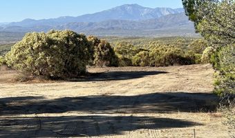 43450 Trailmaster With Wl, Aguanga, CA 92536