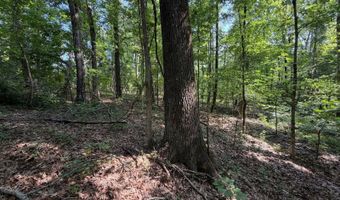0 County Road 217, Blue Springs, MS 38828