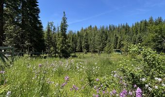 2216 Mosquito Creek Rd, Clark Fork, ID 83811