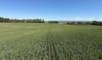 N 4600 E, Ashton, ID 83420