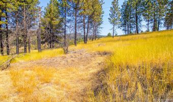 0 Summitview Dr, Ahsahka, ID 83520