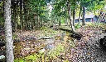 5441 VALLEY, Alanson, MI 49706