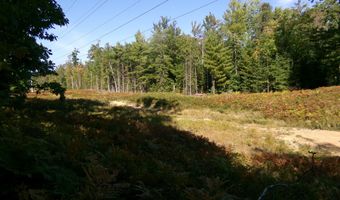 V/L 30AC Lake Winyah Road, Alpena, MI 49707