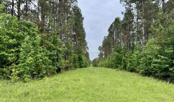 0020 Mount Carmel Rd, Bailey, MS 39320