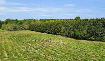 Burton Farm Road, Arapahoe, NC 28510