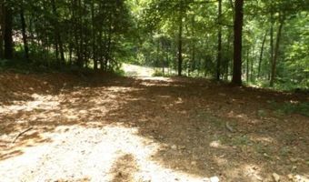 8 63ac Gravely Hill Rd, Bethpage, TN 37022