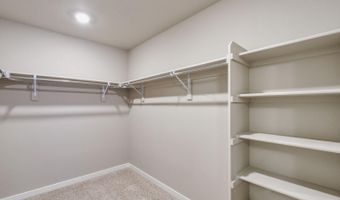 12 N 45th Ave Plan: HOLCOMBE, Brighton, CO 80601