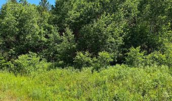 2 5 Acres County Road C, Arkdale, WI 54613