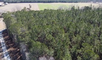 0 Mail Route Rd, Bonneau, SC 29431