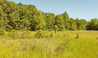 Beech Bluff Road, Beech Bluff, TN 38313