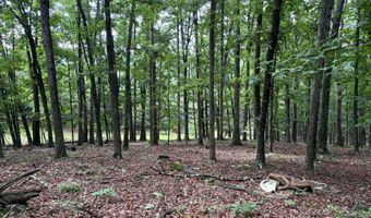 26 33 ACRES HICKORY CORNER Rd, Augusta, WV 26704