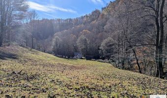 0 Jar Gap Ln, Ararat, VA 24053