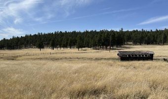 Forest Road 26 lot E, Alpine, AZ 85920