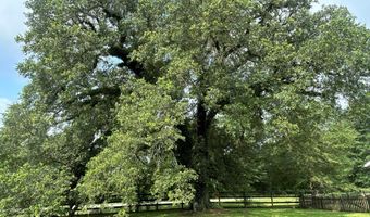 5606 Rocky Creek Rd, Ashford, AL 36312
