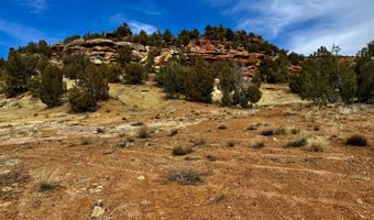 TBD X4 Road, Bedrock, CO 81411