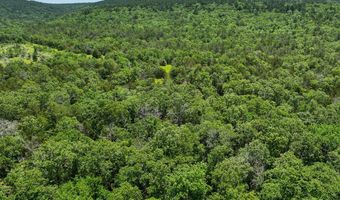 001 N 4220 Rd, Antlers, OK 74536