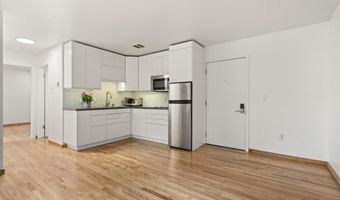 415 Pacific Ave C, Aspen, CO 81611