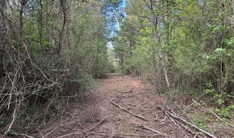 1311 A N Jackson St, Brookhaven, MS 39601