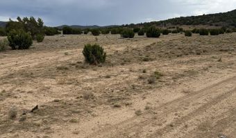 8206 TBD N8206, Concho, AZ 85924