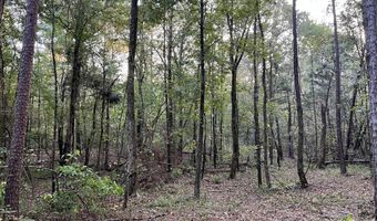 CR 225, Blue Springs, MS 38828