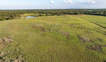 3688 N Fm 1655, Alvord, TX 76225